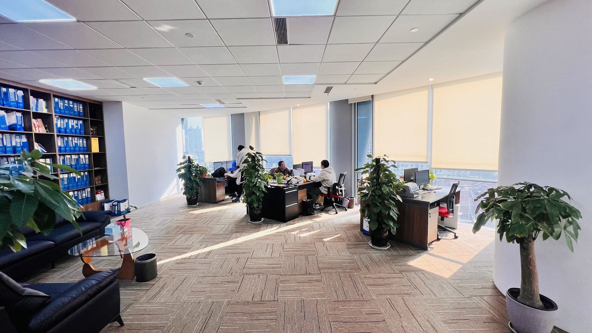 使用虚拟地址注册公司的合规要求